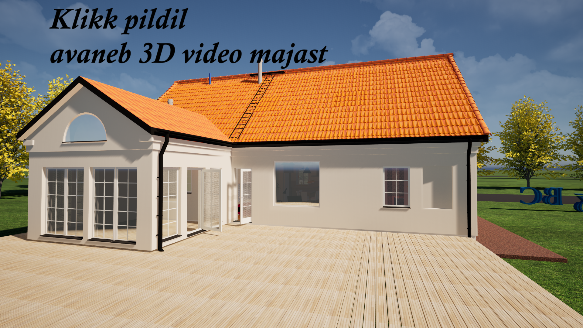 3D video